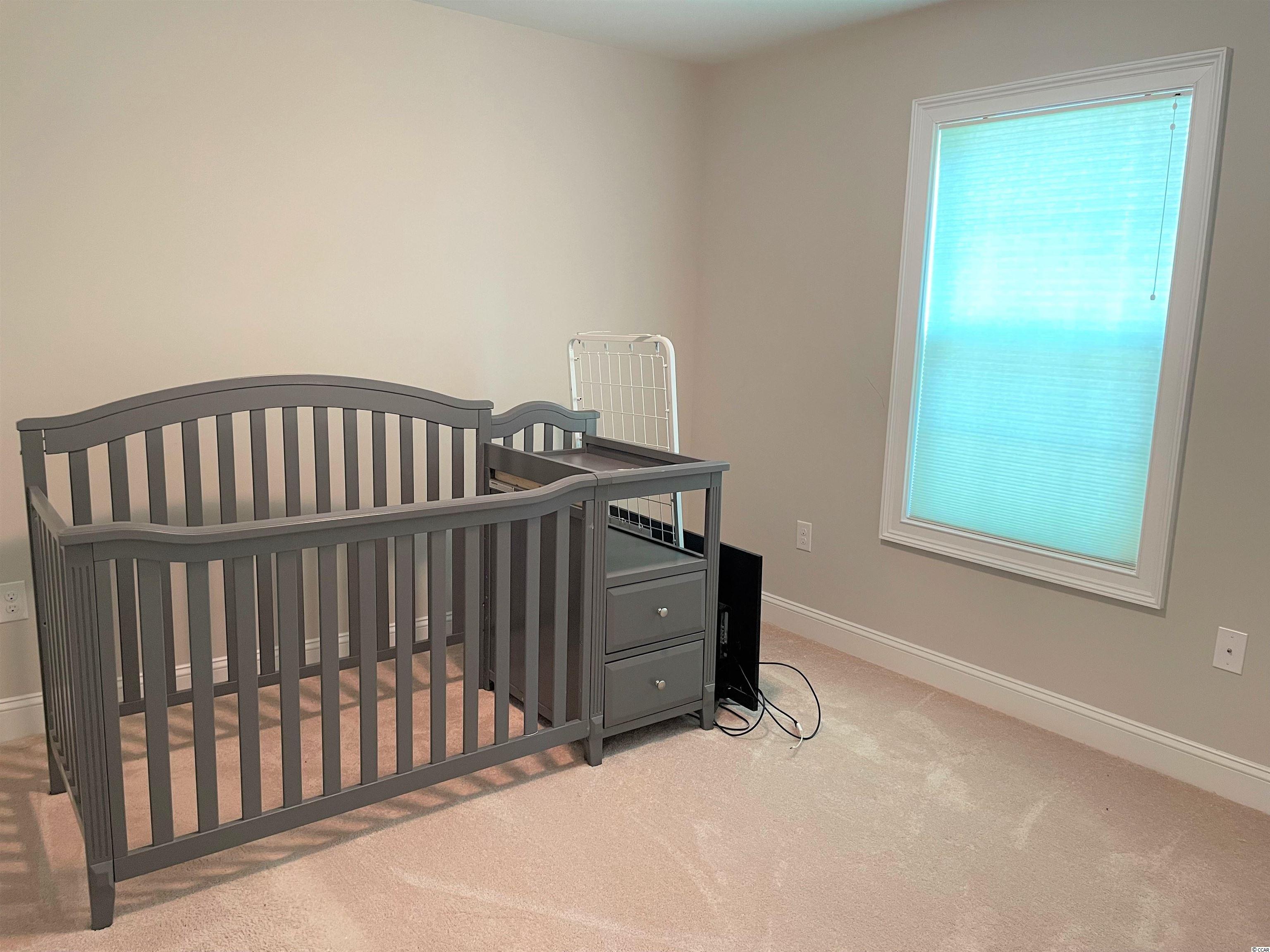 369 Millbrook Circle Galivants Ferry, SC 29544 - Photo 18 of 25