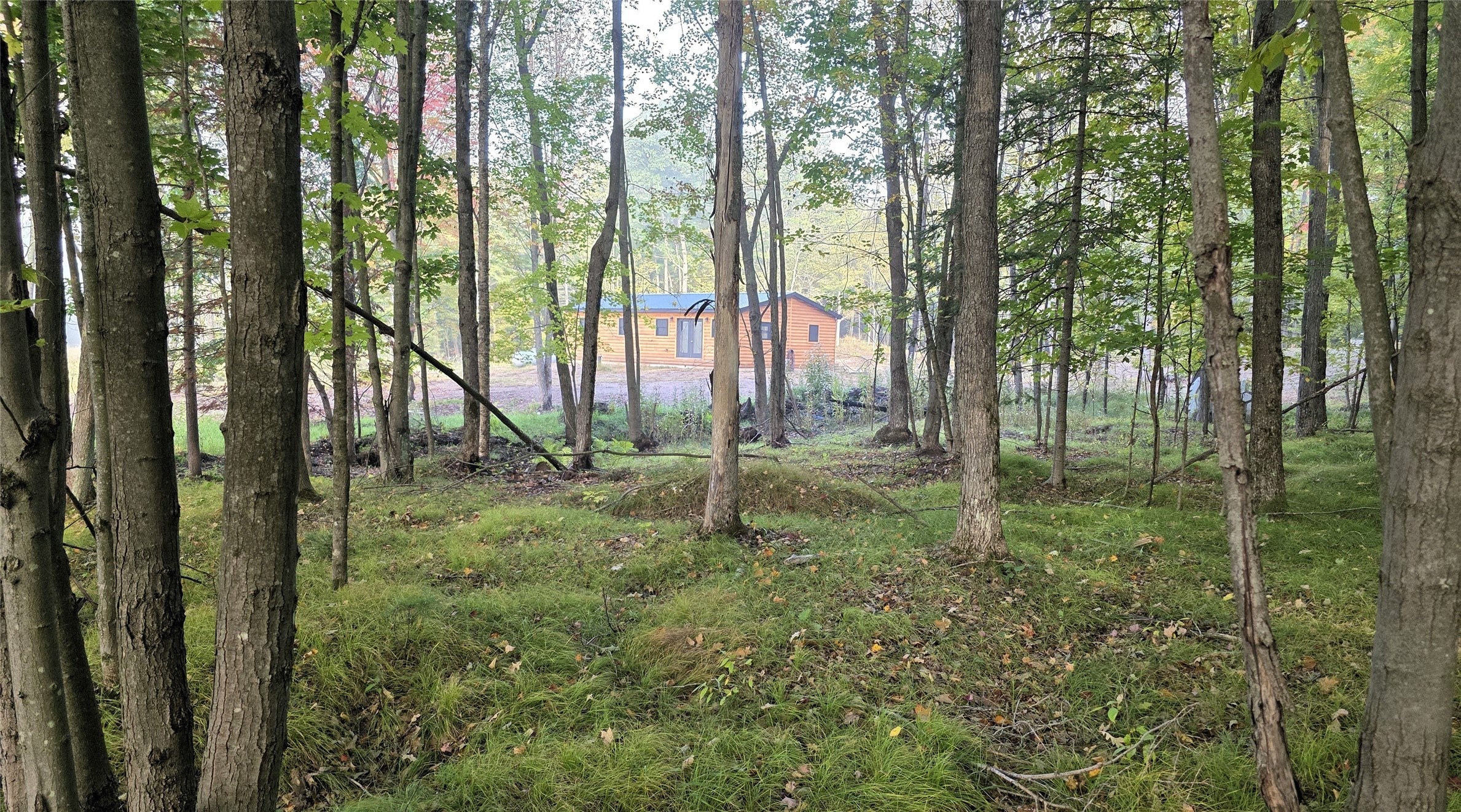 3368 North Sawdust Road Bruce, WI 54819 - Photo 21 of 60 Gallery Image 21