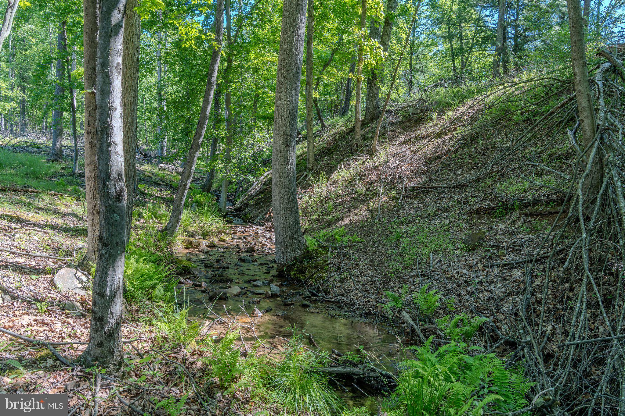 4503 Scotch Valley Road Hollidaysburg, PA 16648 - Photo 49 of 85