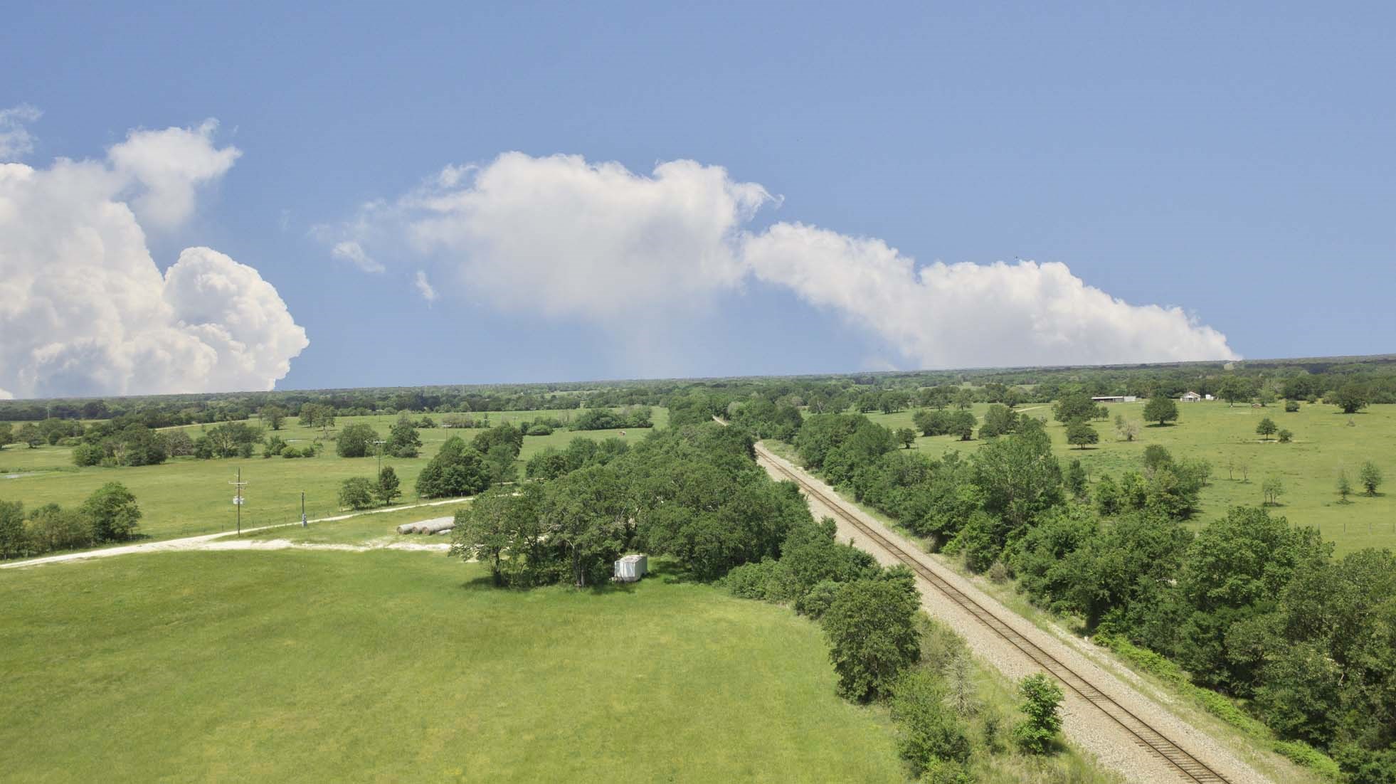 15130 Fm 39 Road Bedias, TX 77831 - Photo 13 of 26