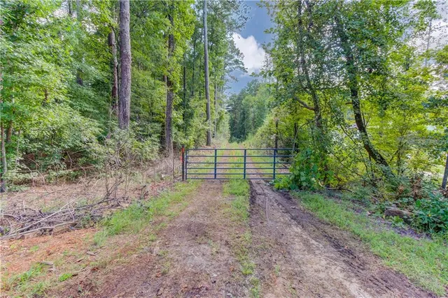 a view of a backyard with trees