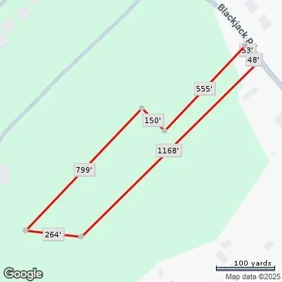 a view of a lush green forest