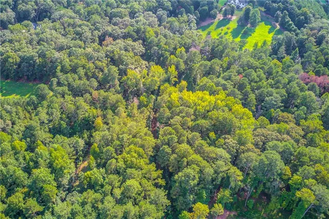 a view of a garden with a flower