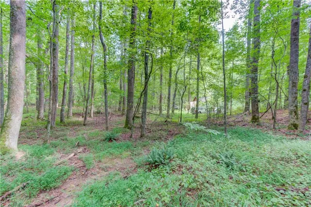 a view of backyard with green space