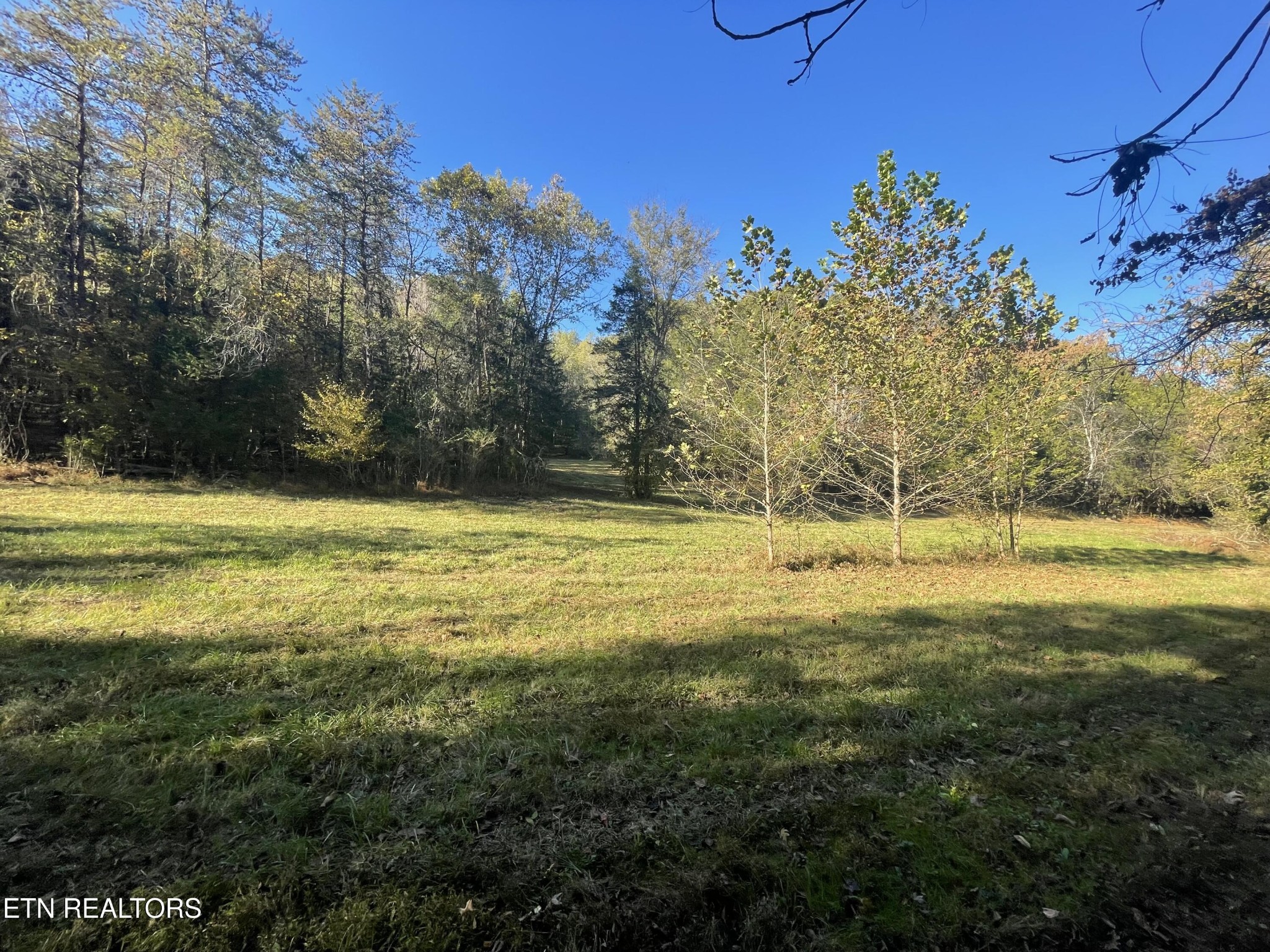 100 French Road Knoxville, TN 37920 - Photo 24 of 51 Gallery Image 24