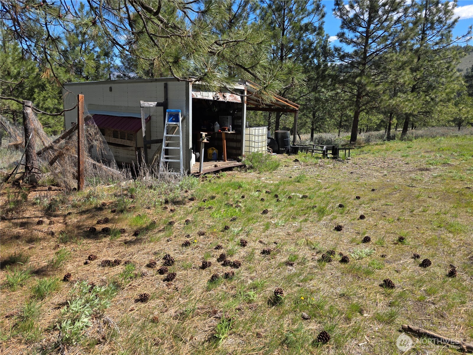 144 Reevas Basin Road Tonasket, WA 98855 - Photo 10 of 21
