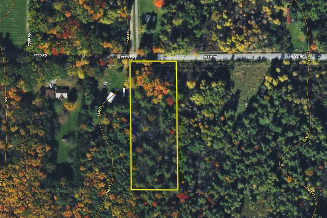 Vl Reed Road Dansville, NY 14437 - Photo 28 of 29