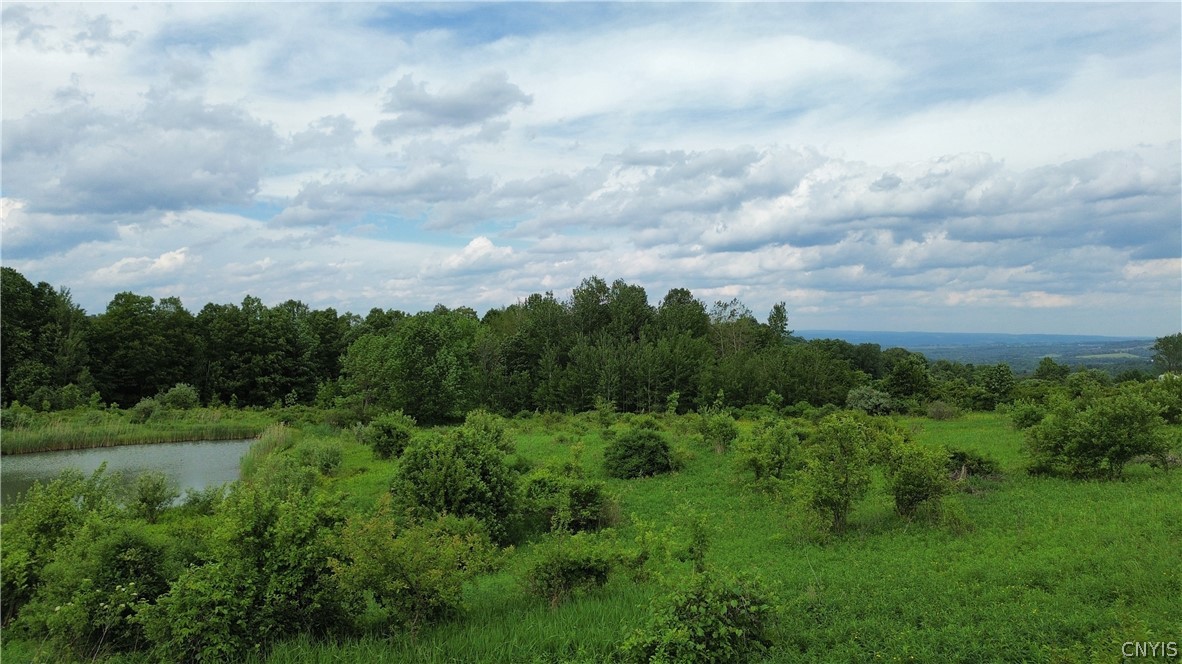 385 Johnnycake Road Little Falls, NY 13365 - Photo 26 of 35