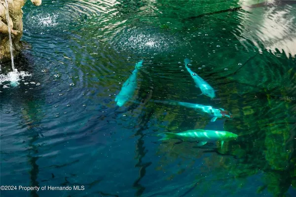 $2,150,000 | 11915 West Riverhaven Drive, Homosassa, FL 34448