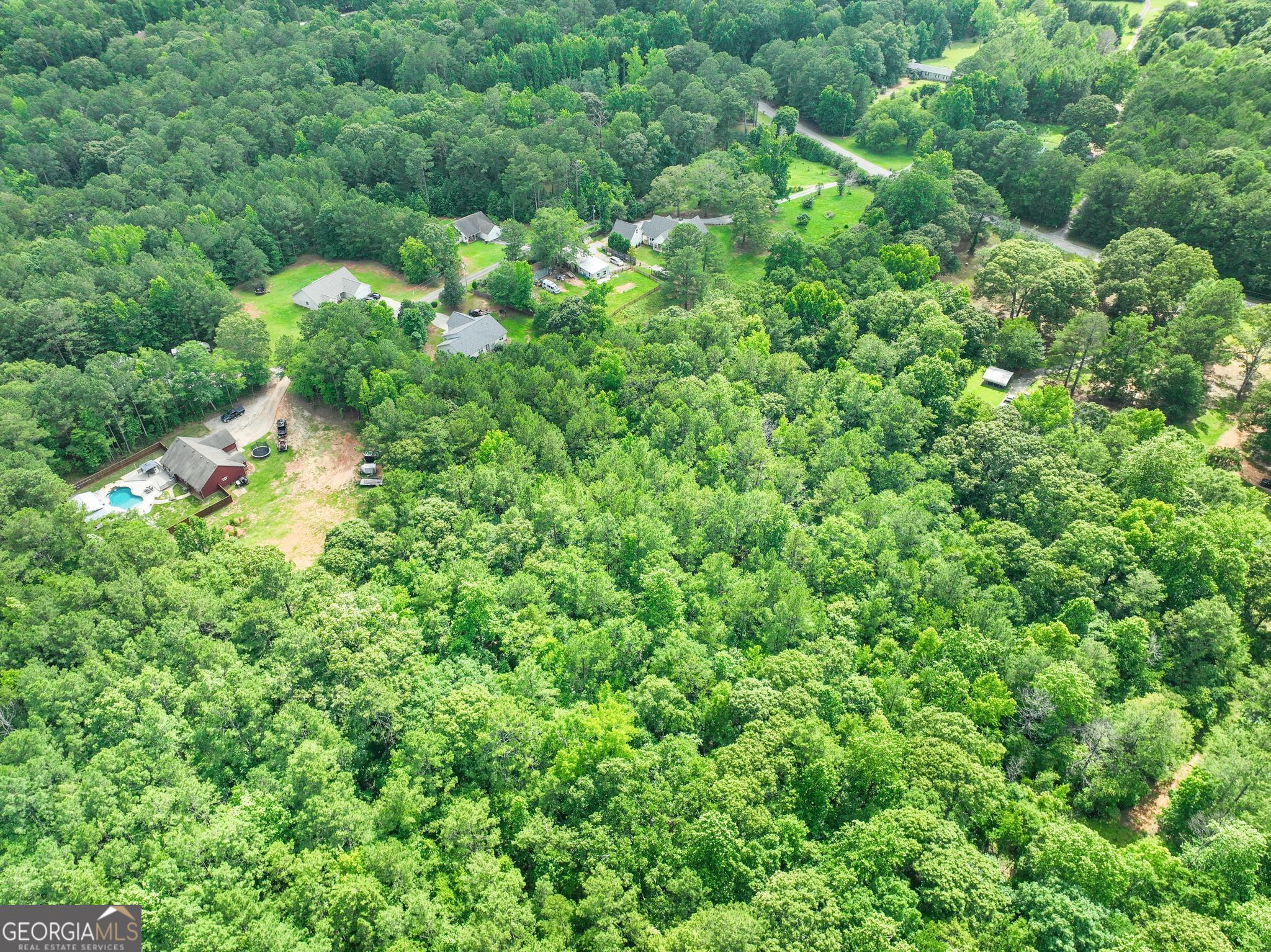 884 Dolly Nixon Road Senoia, GA 30276 - Photo 9 of 10