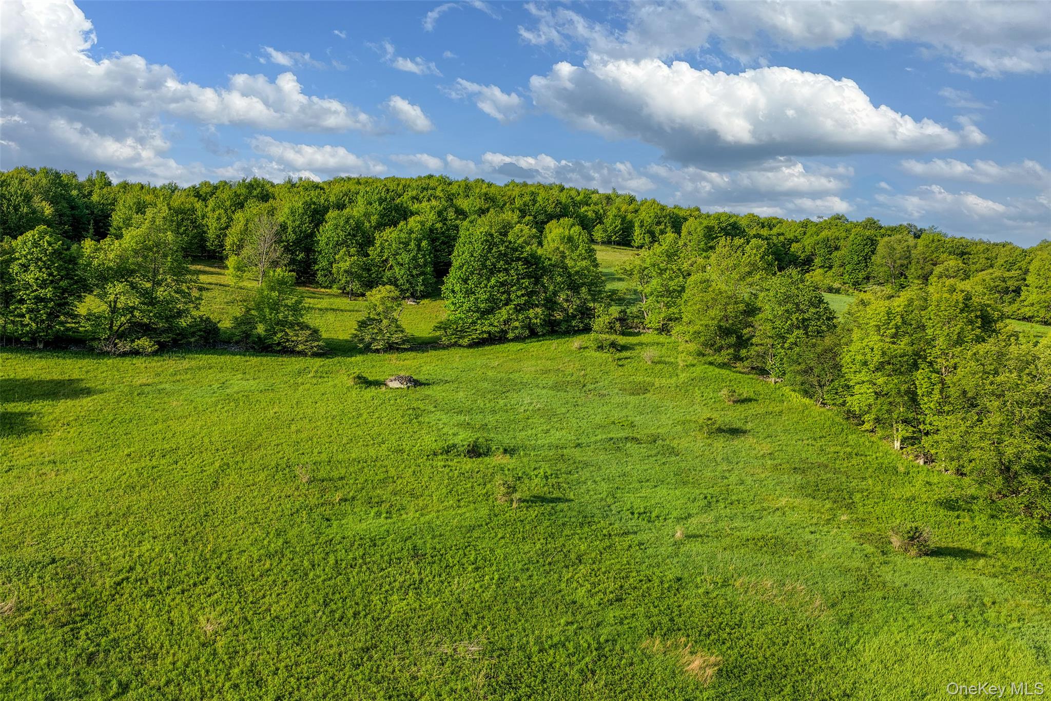 26 Federal Hill 2 Road Delhi, NY 13753 - Photo 36 of 50