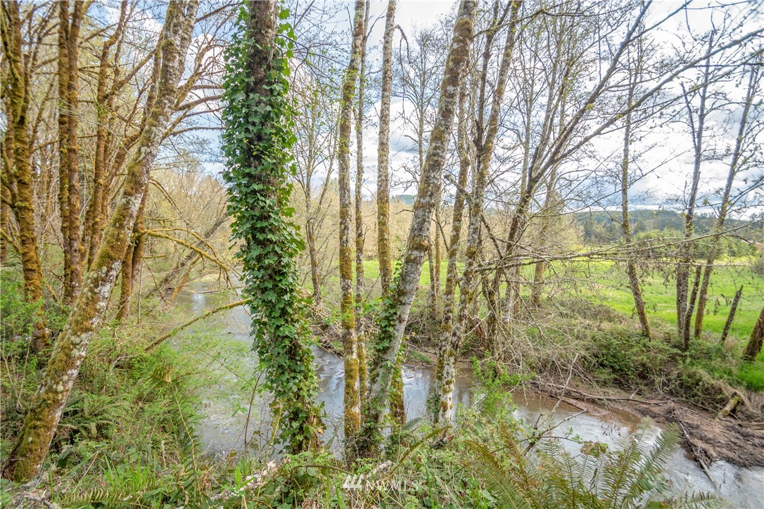 169 Hendrickson Road Vader, WA 98593 - Photo 6 of 13 Gallery Image 6