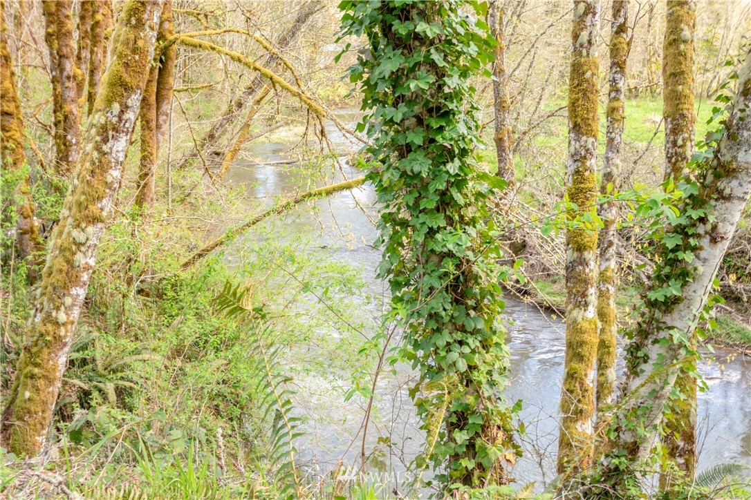 169 Hendrickson Road Vader, WA 98593 - Photo 7 of 13 Gallery Image 7