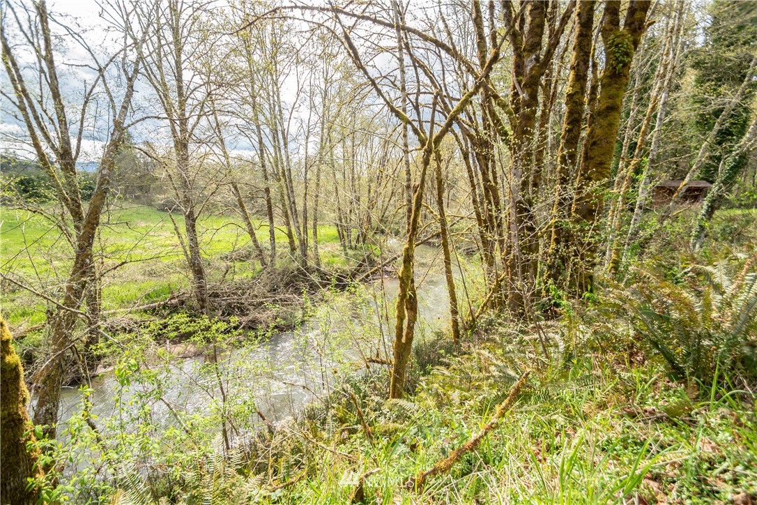 169 Hendrickson Road Vader, WA 98593 - Photo 8 of 13 Gallery Image 8