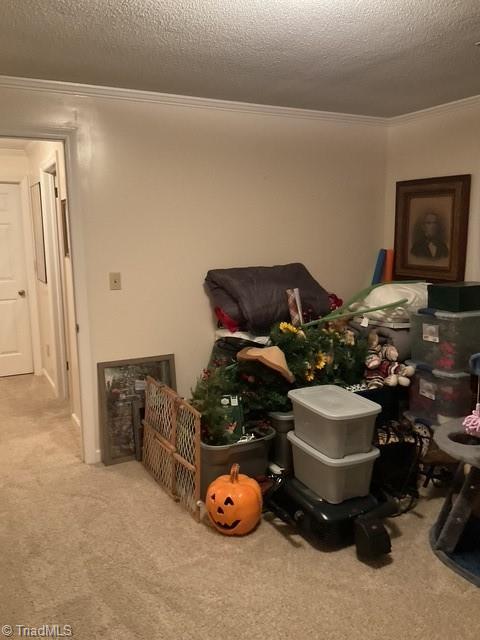 732 Sink Road Lexington, NC 27295 - Photo 49 of 49 Gallery Image 49