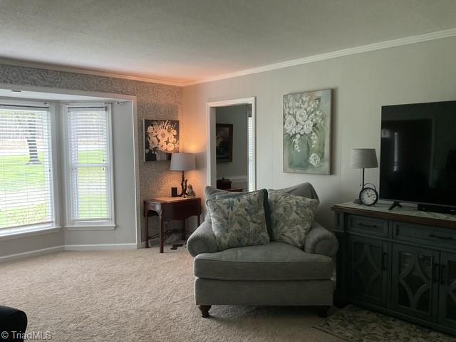 732 Sink Road Lexington, NC 27295 - Photo 8 of 49 Gallery Image 8