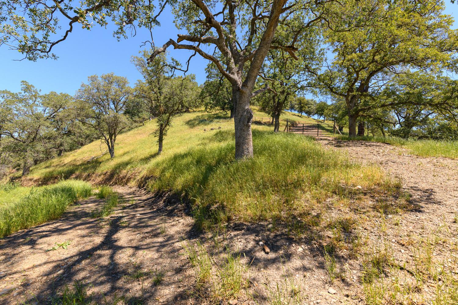 7570 Airola Road Vallecito, CA 95251 - Photo 25 of 90