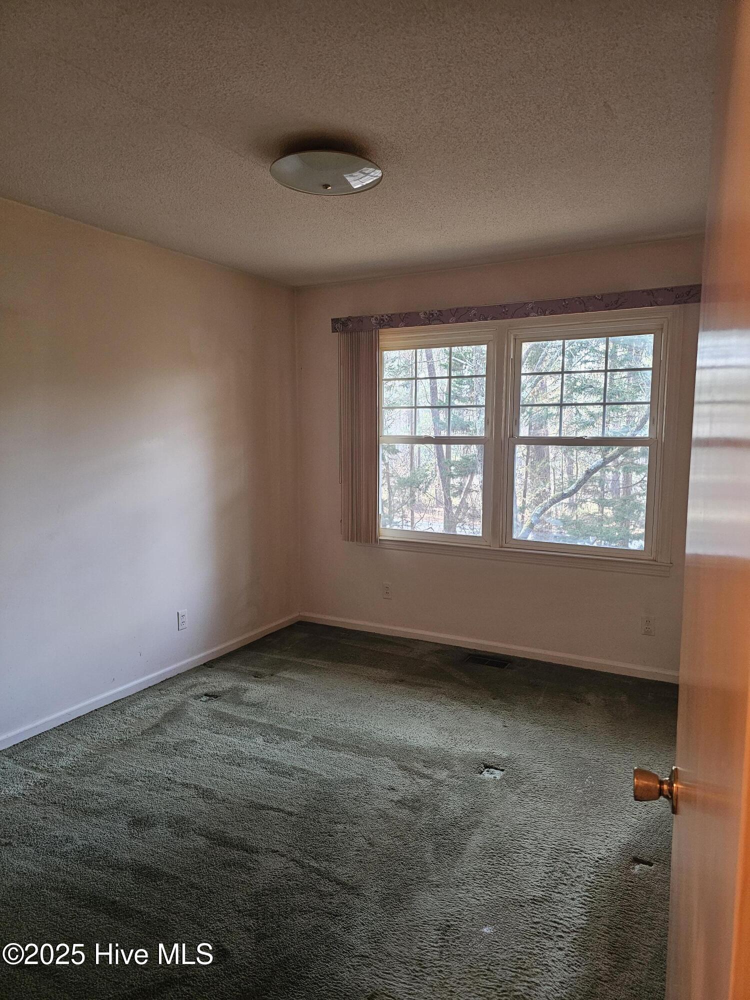 103 Edinburgh Drive Carthage, NC 28327 - Photo 12 of 18 Bedroom #4