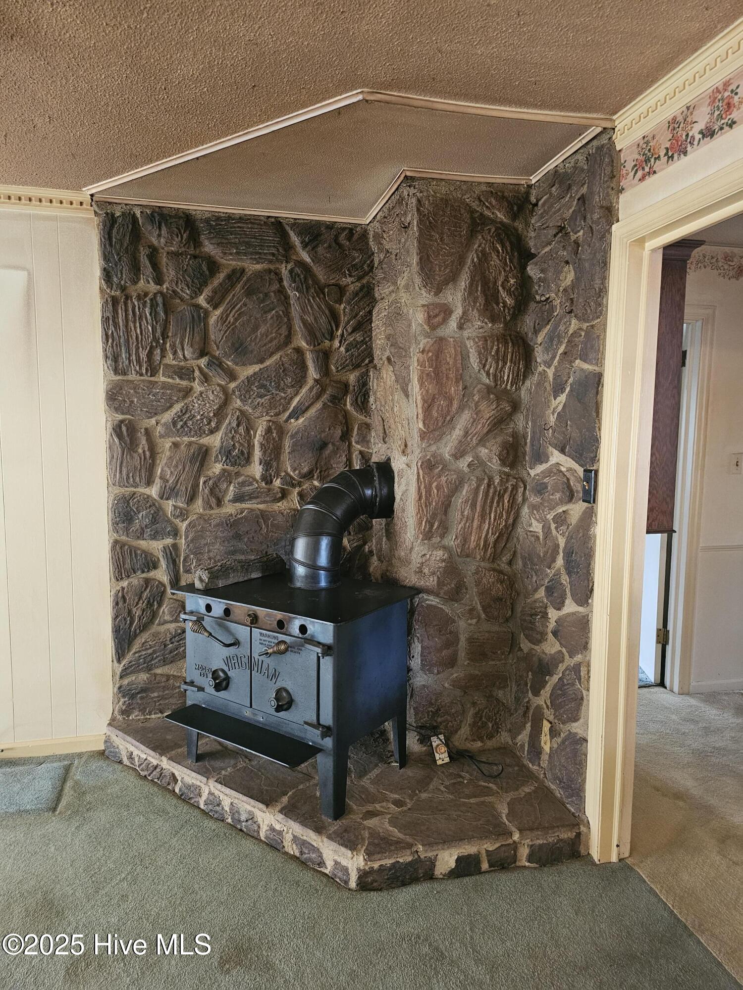 103 Edinburgh Drive Carthage, NC 28327 - Photo 17 of 18 Fireplace with stove