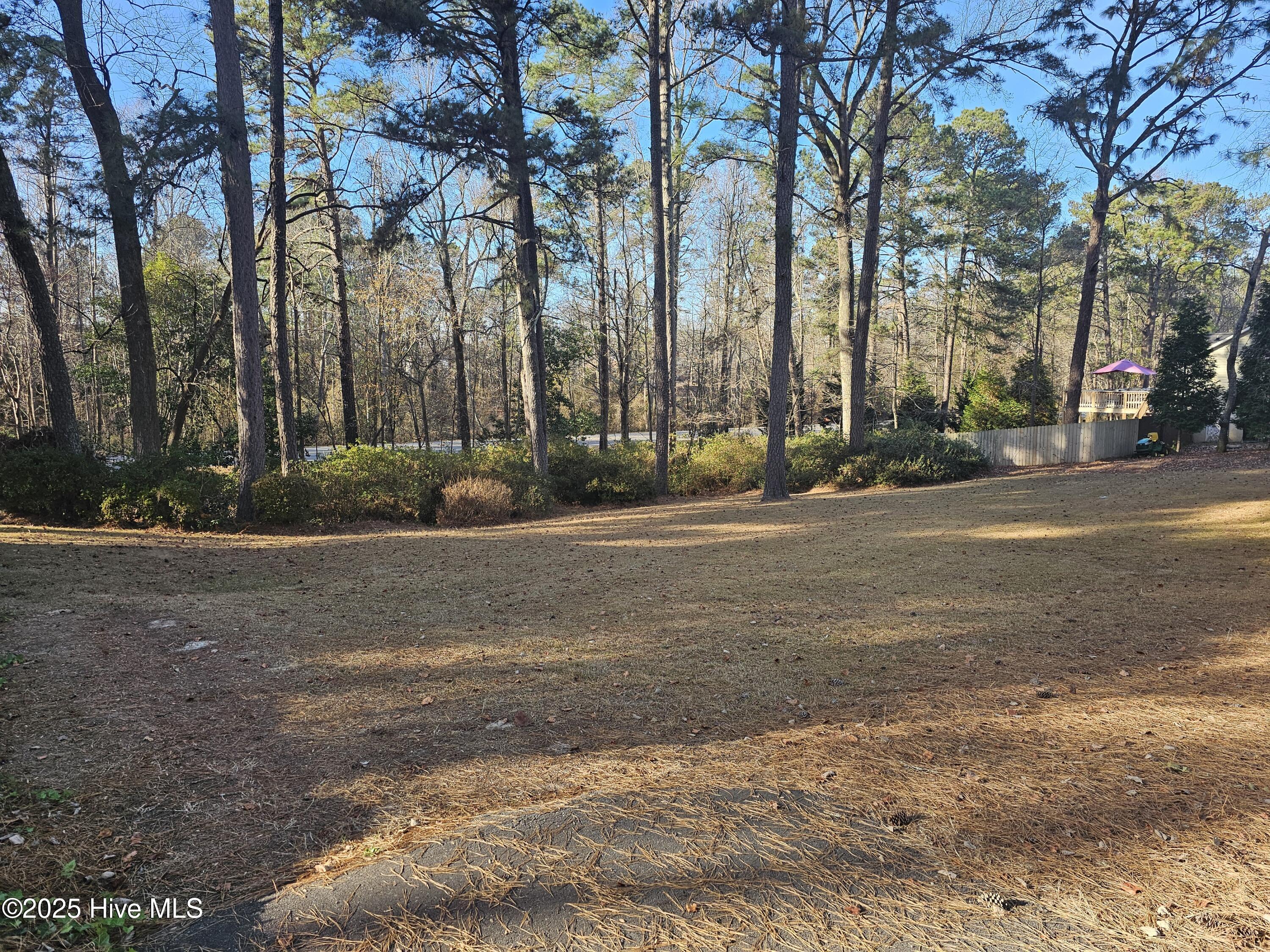 103 Edinburgh Drive Carthage, NC 28327 - Photo 5 of 18 Lot 17