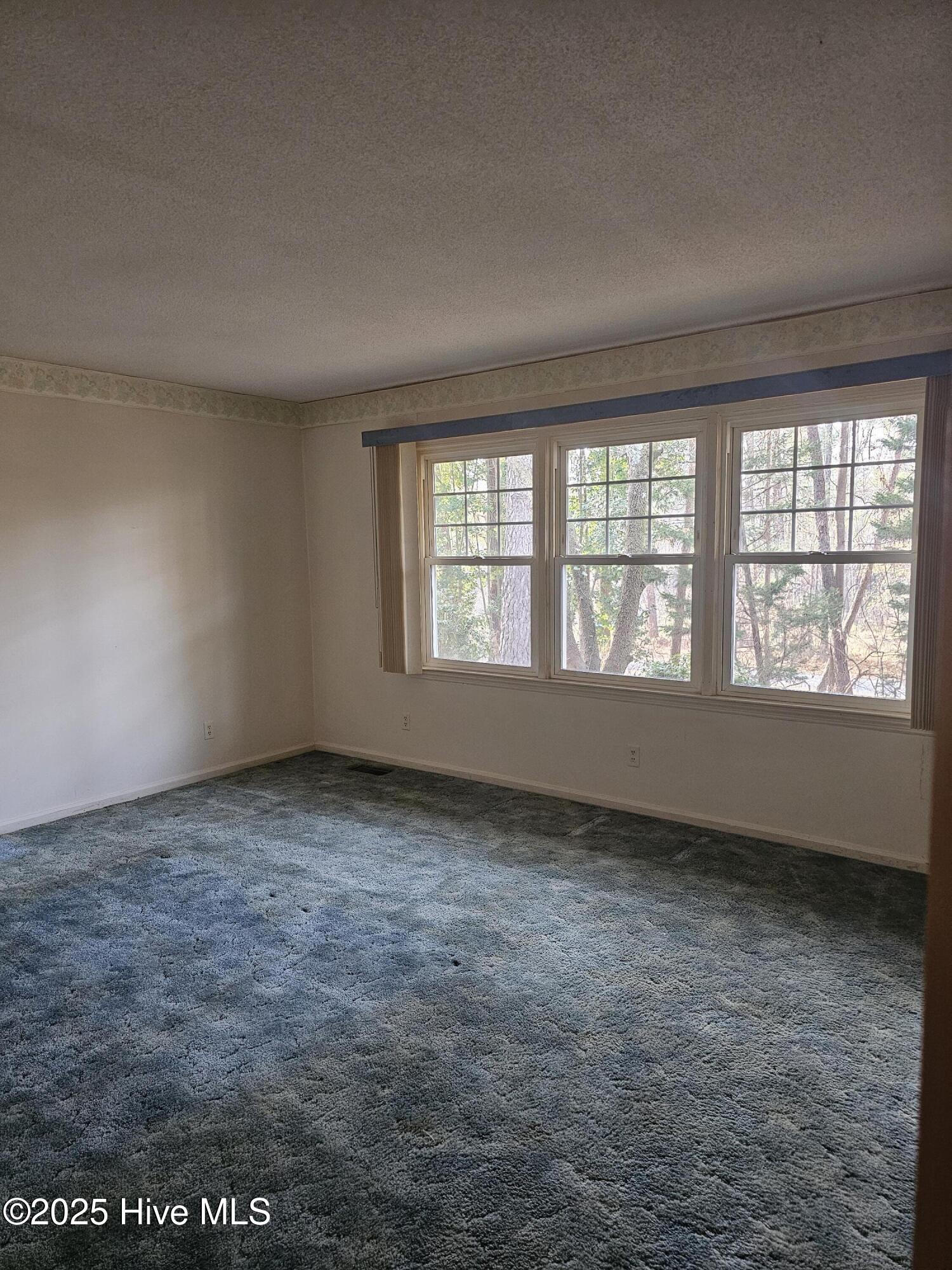 103 Edinburgh Drive Carthage, NC 28327 - Photo 10 of 18 Bedroom #2