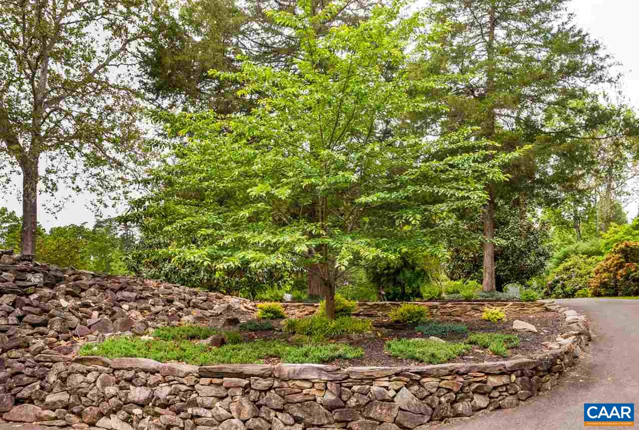 145 Ivy Ridge Road Charlottesville, VA 22901 - Photo 50 of 50 a view of a garden with a tree