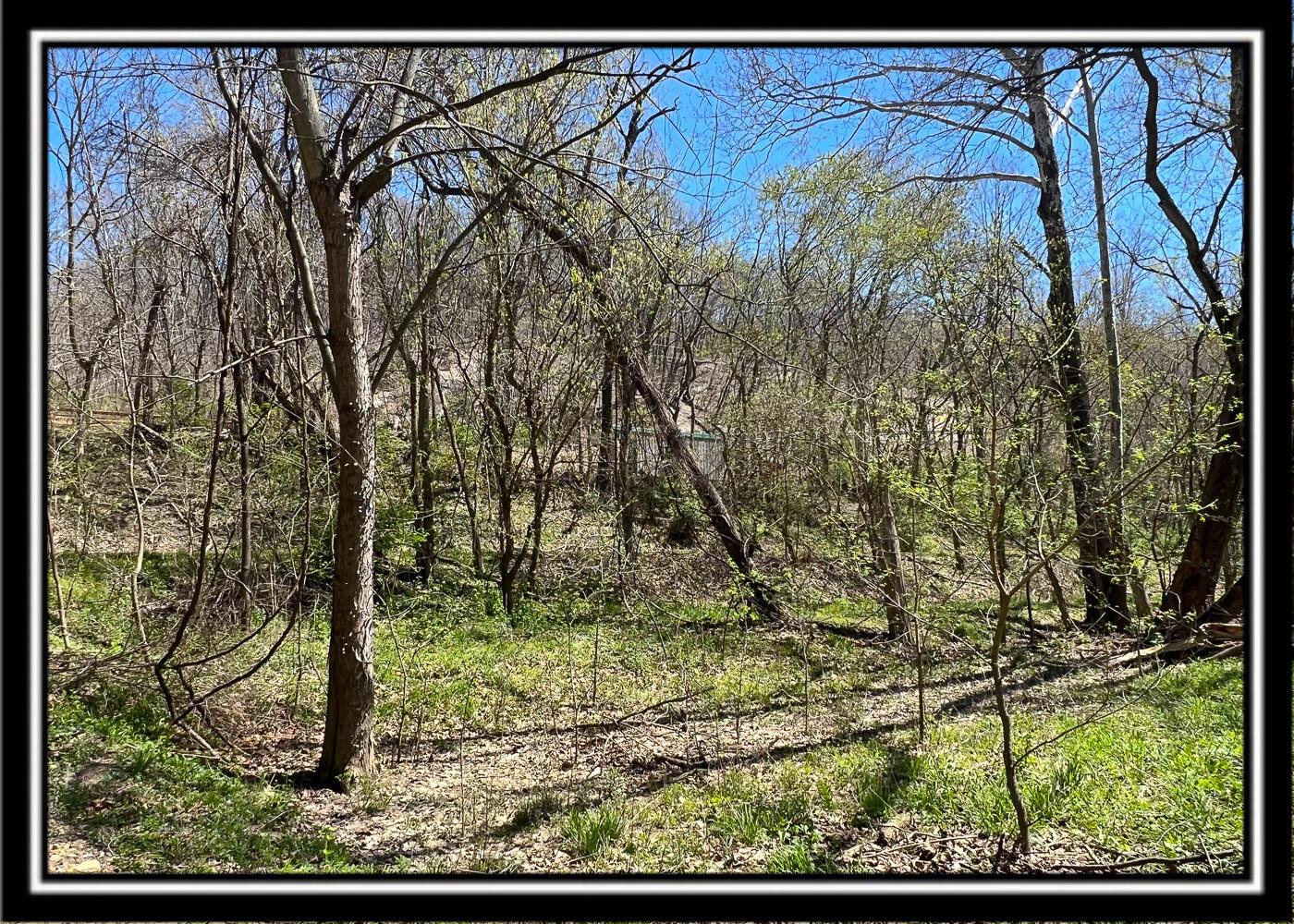 0 North Musselman Station Road Frankfort, OH 45628 - Photo 47 of 51 CT-48