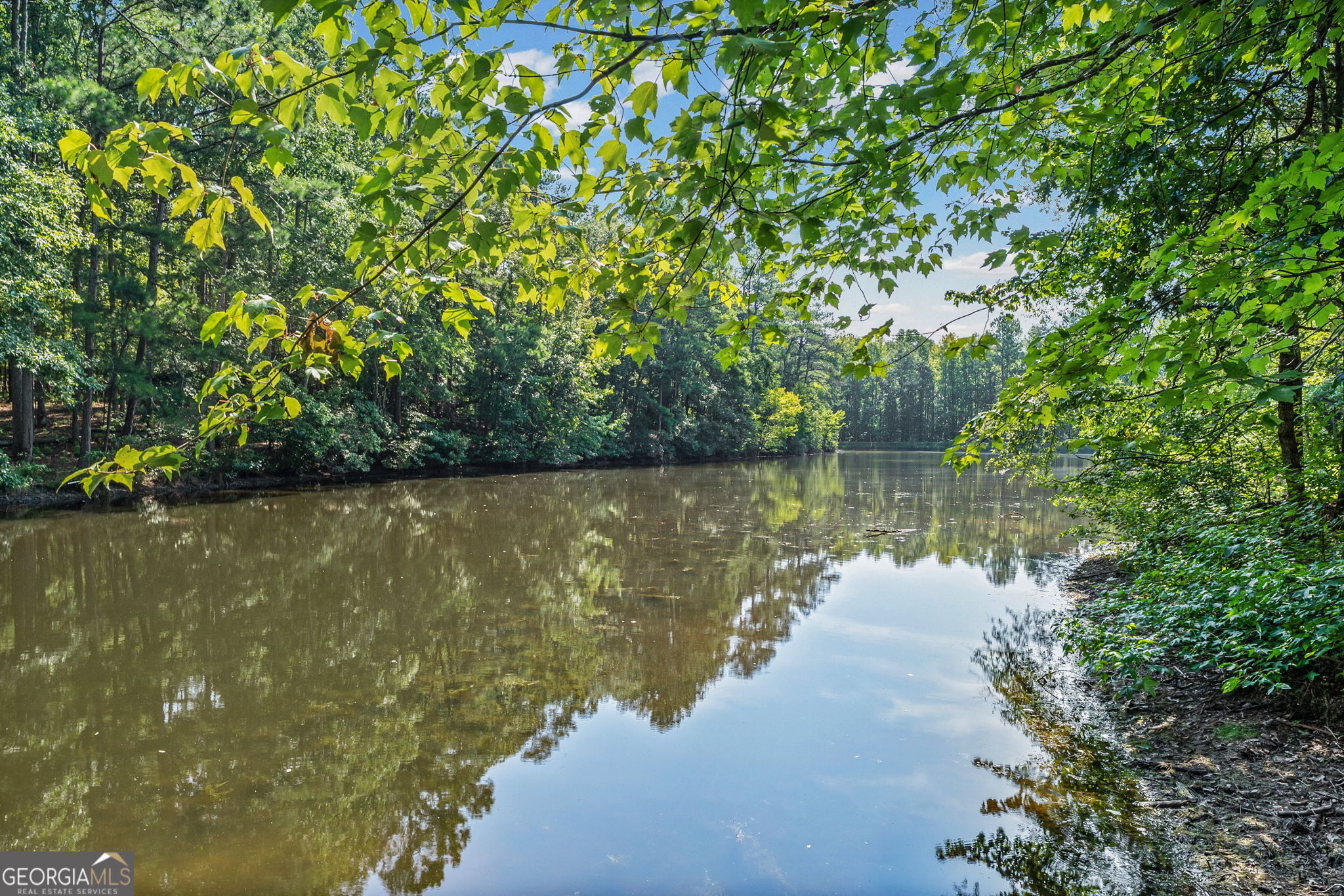 354 Gibson Road Newnan, GA 30263 - Photo 42 of 44 Gallery Image 42