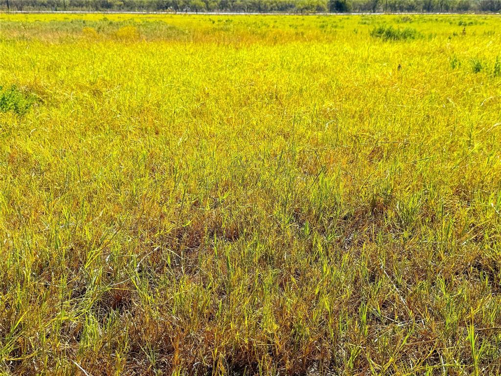 1 Hayes Road Mineral Wells, TX 76067 - Photo 12 of 14 a view of beach and swimming pool