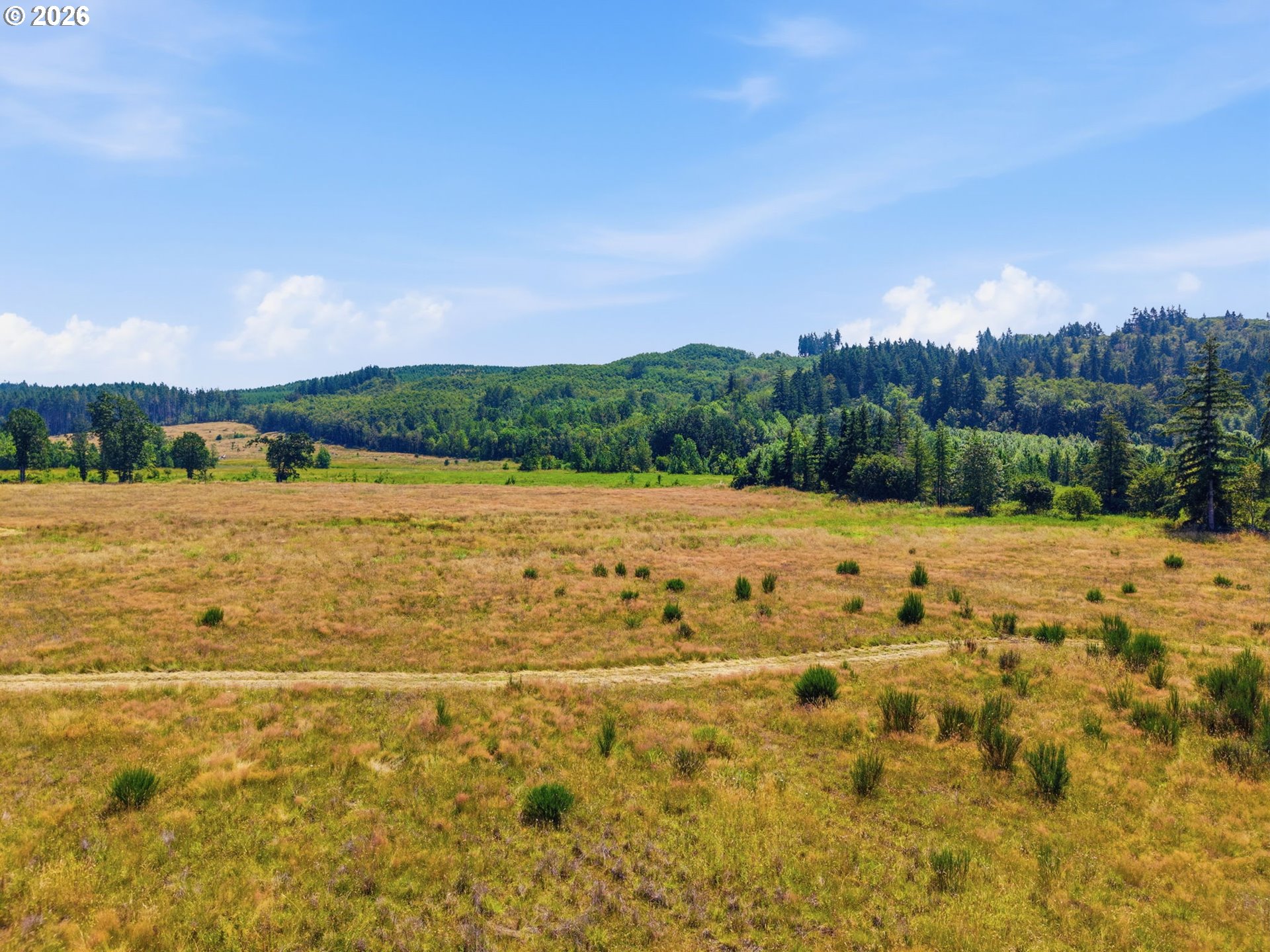 0 Maw Road Toledo, WA 98591 - Photo 31 of 37