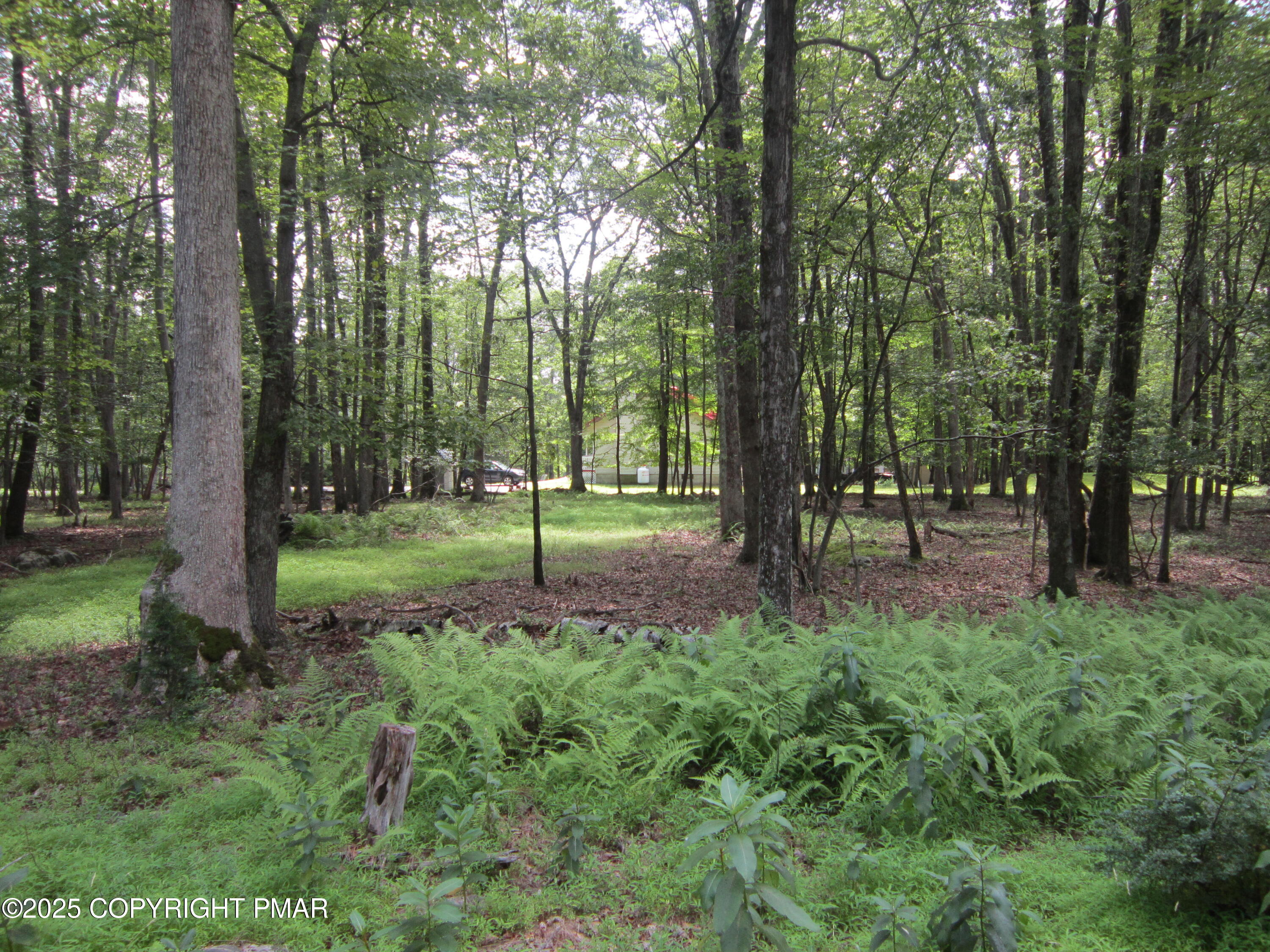 204 Mohican Road Canadensis, PA 18325 - Photo 5 of 20 a view of park space