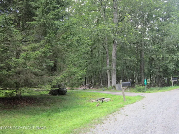 a view of a park with large trees