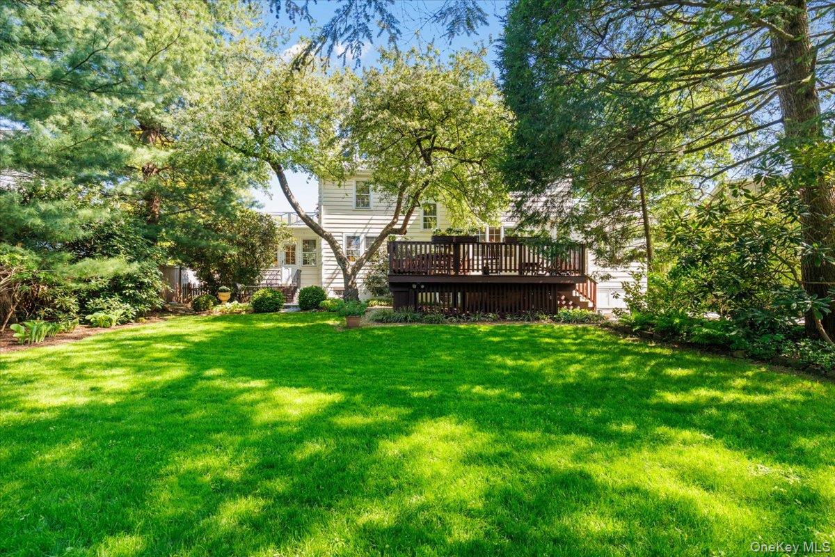 36 Intervale Place Rye, NY 10580 - Photo 32 of 41 Backyard features many original plantings.