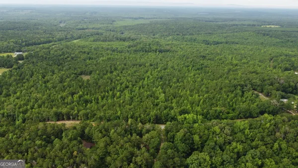 a view of a field of grass and trees