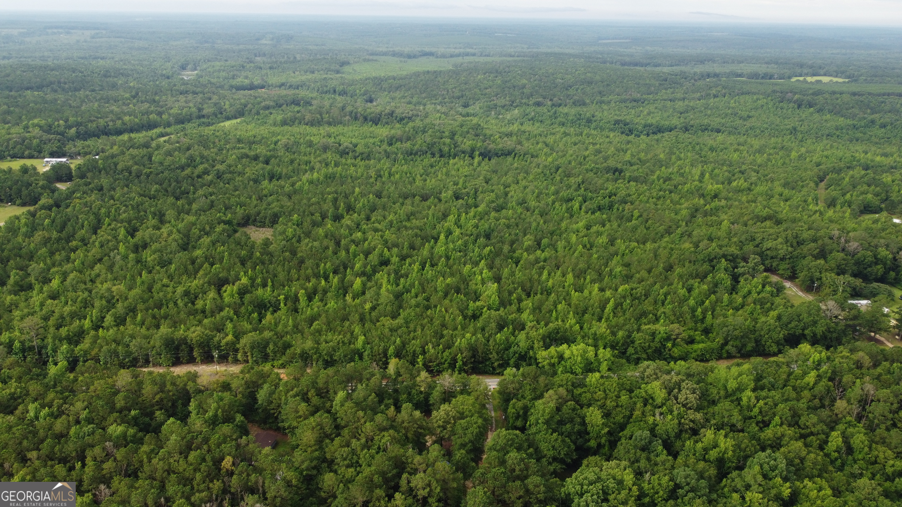 a view of a field of grass and trees