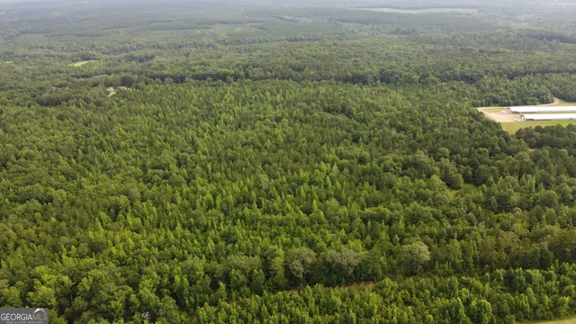 a view of a field with trees in the background