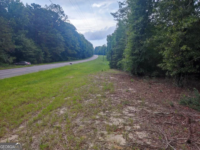 a view of a lush green forest