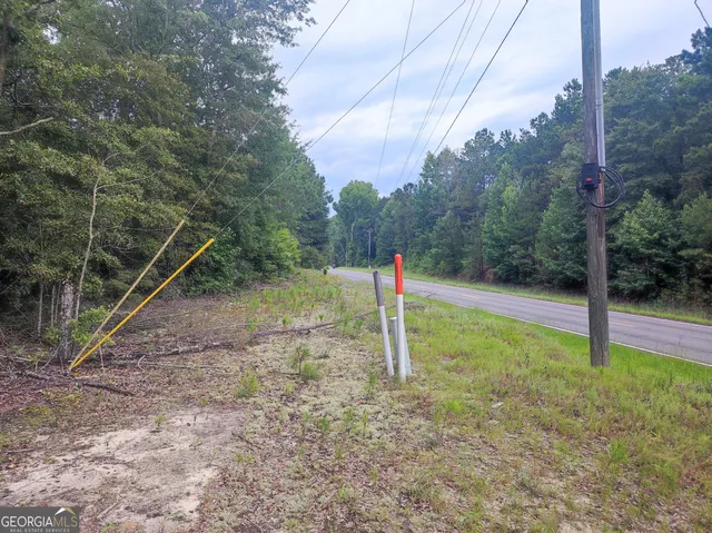 a view of a lush green forest