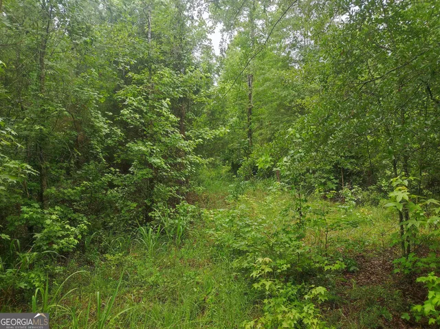 a view of a yard with a house in the background