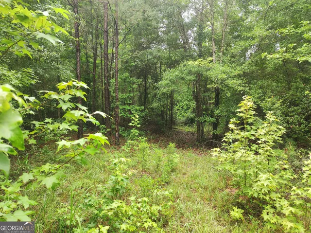 a view of a basketball court