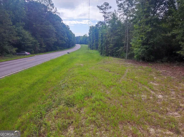 a view of a yard with a tree