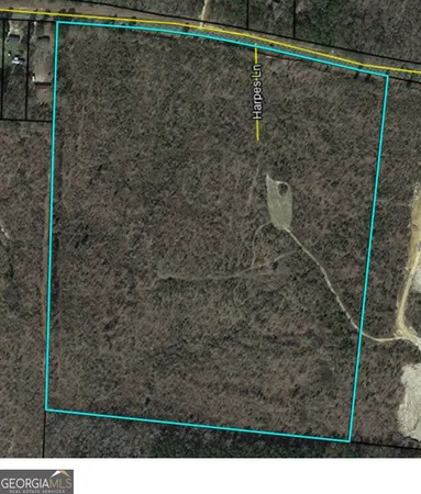 a view of a fireplace in the forest