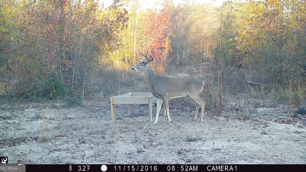 a view of a wooden door of the house