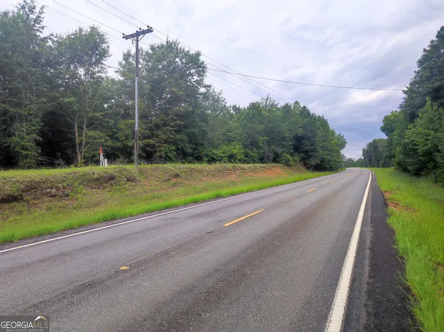 a view of a park with large trees