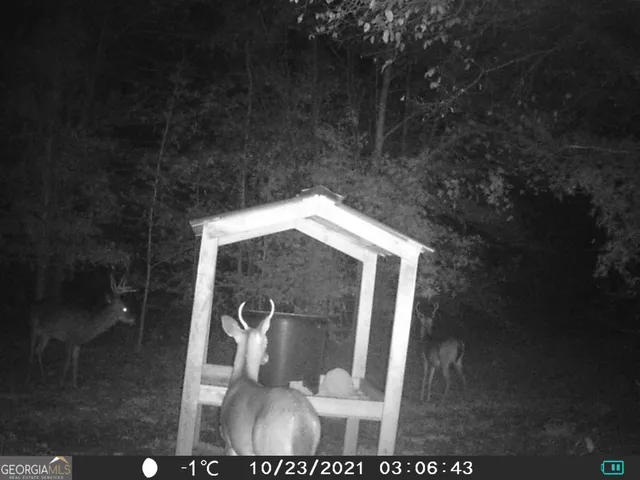 a bench sitting in the middle of a forest