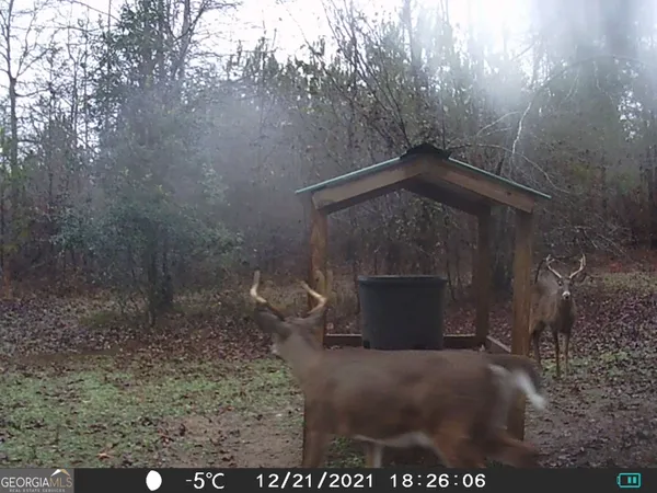 $275,000 | 0 State Route 240 Road, Oglethorpe, GA 31041