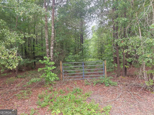 a view of outdoor space and yard