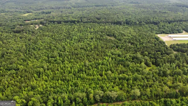 a view of a lush green space