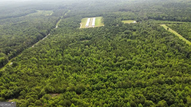 a picture of a plant in a garden