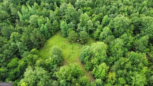 a view of a lush green space